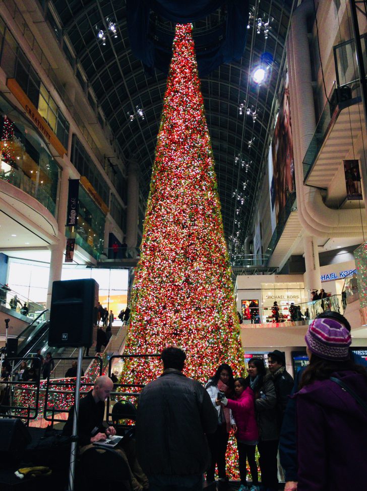 【カナダ】冬のトロントならではのおすすめ観光スポット！ 地球人ライフ